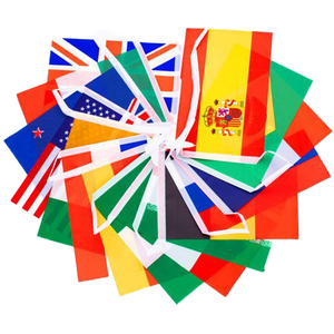 H5225315091d7438da857eaafe63f11c9B_300x300