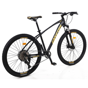 Bicycle Derailleurs15966
