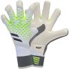 Goalkeeper Gloves481