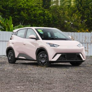 Electric vehicle Factory Code 1244