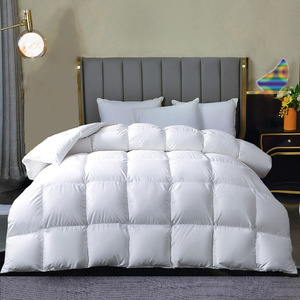Filled Cotton Comforters6728