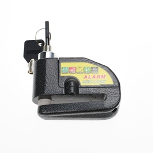 Motorcycle Locks25945