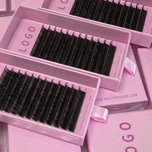Fan Volume Lash Extensions9012