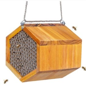 Bee Products82045