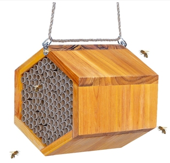 Bee Products82045