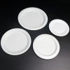 Plastic Plates & Bowls14458