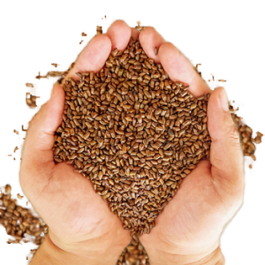 Single Spices & Herbs78420