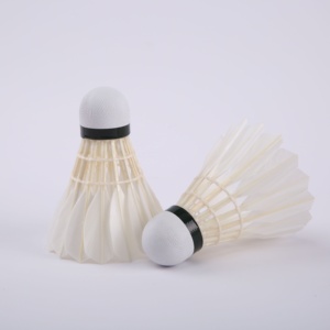 H629a2b7bd11541428115fb5015f393c8O_300x300