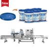Capping Crimping Machine80545