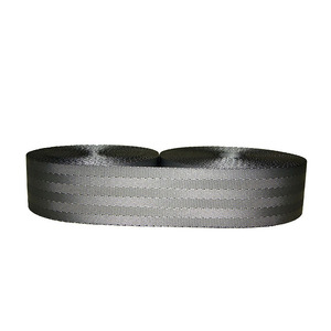 Tensioners & Safety Belts10885