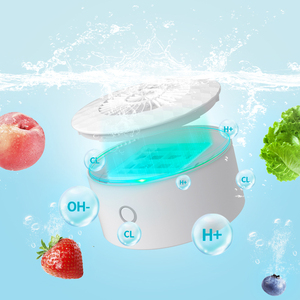 Fruit Vegetable Washing Machines16662