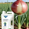 Compound Fertilizer83121