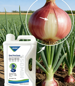 Compound Fertilizer83121