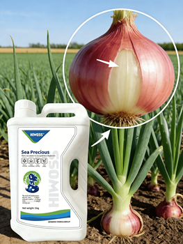 Compound Fertilizer83121