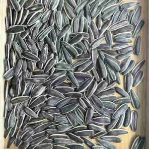 Sunflower Seed Kernels78494