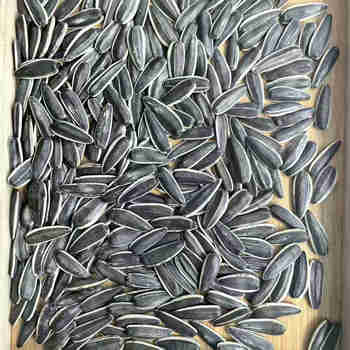 Sunflower Seed Kernels78494