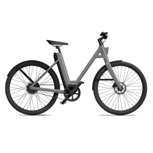 Electric City Leisure Bike28479