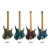 Guitars13714