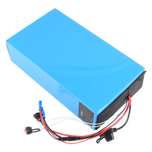 E-bike Lithium Batteries12989