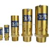 Safety Relief Valves10096
