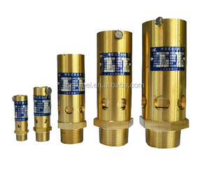Safety Relief Valves10096