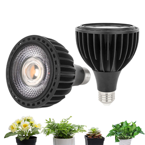 Fresh Produce LED Lights3312