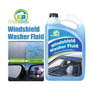 Windshield Washer Fluid16845