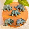 Animal & Dinosaur Models4924