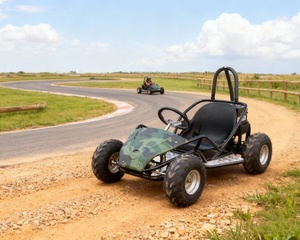Go Karts6624