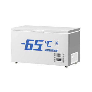 Horizontal Chest Freezers8611