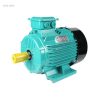 AC Motor78051