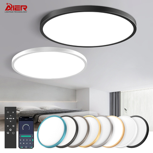 Ceiling Mount Lights816