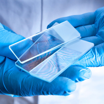 Microscope Slide85248