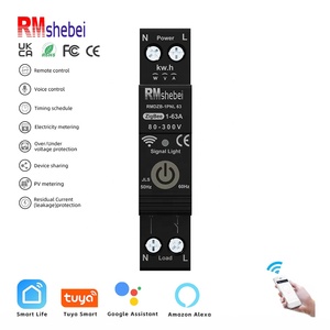 Electric Energy Meters11163