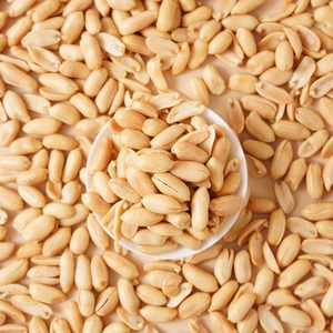 Peanuts8640