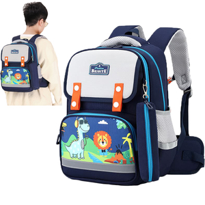Ski Bag3007