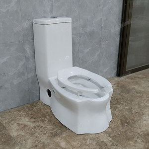 Squat Toilet Suites3418