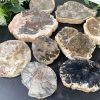Minerals Factory Code 2043
