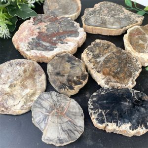 Minerals Factory Code 2043