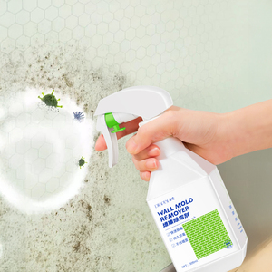 Wall Mold Remover Sprays20023