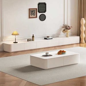 TV Mount & Trolley79431