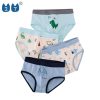 Boys Underwear25