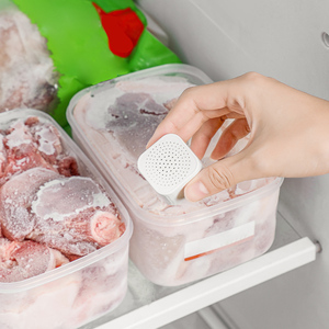 Fridge Deodorizer Absorbers9577