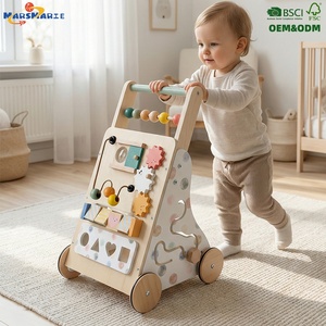 Push Pull Walker Toys7969