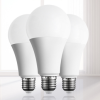 Incandescent Bulbs3320