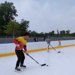 Ice Skating4663