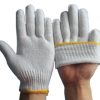 Cotton Gloves81084