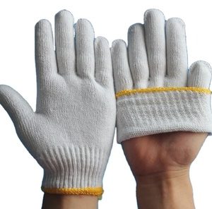 Cotton Gloves81084