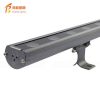 LED Outline Strip Lights5597