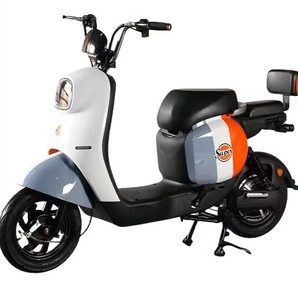 Multi-purpose Bicycle80151